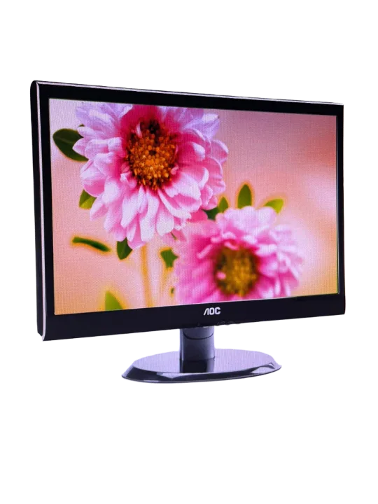 AOC E950SWN 18.5 İNÇ WİDESCREEN SİYAH LED Monitör(2 EL Ürün)